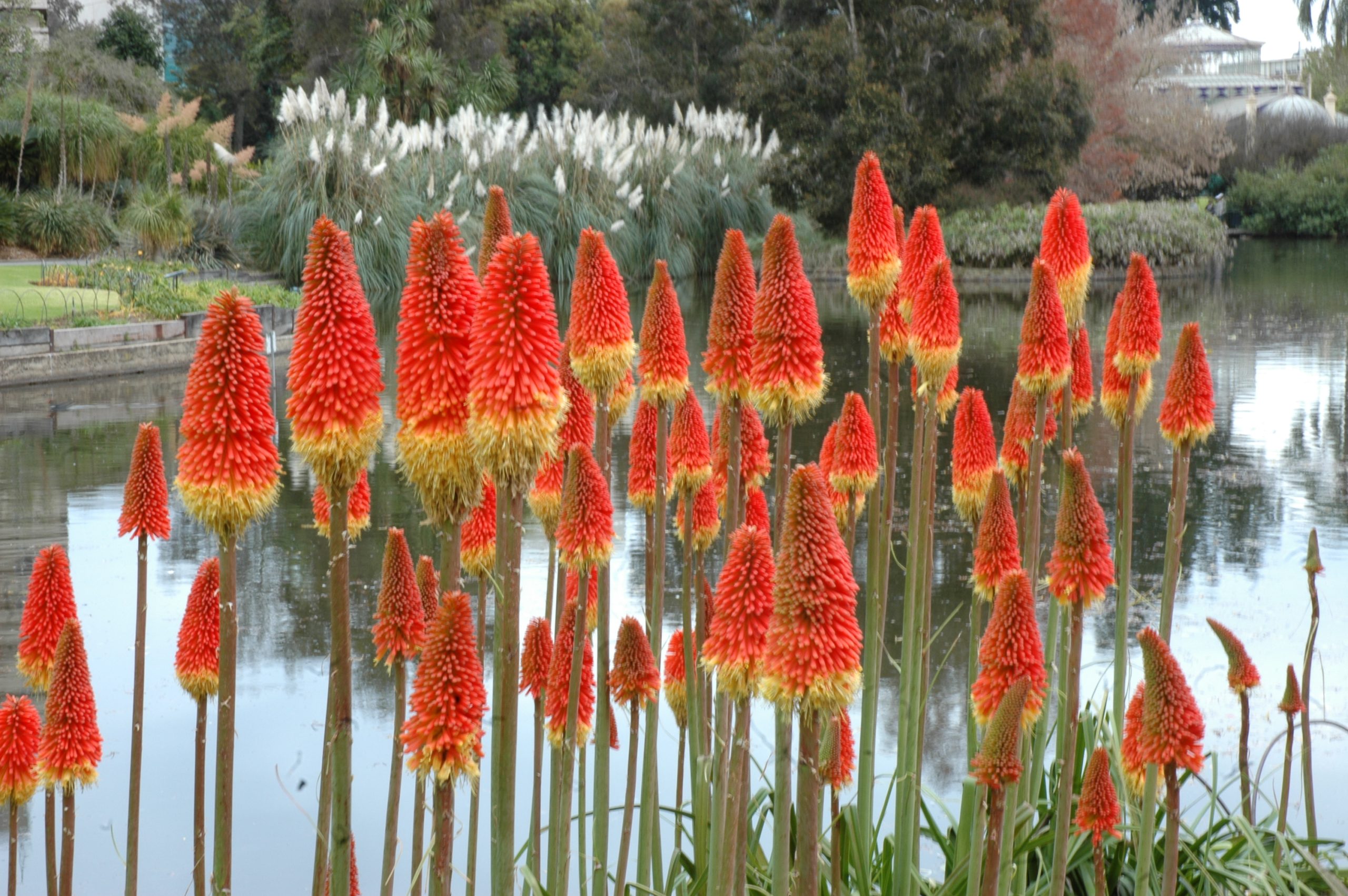 Adelaide Botanical Gardens Visitor Guide